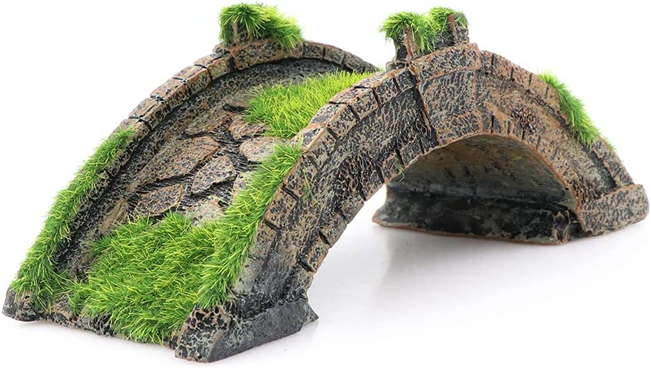 Your one-stop shop for diverse, top-quality aquarium supplies and accessories