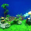 Your one-stop shop for diverse, top-quality aquarium supplies and accessories