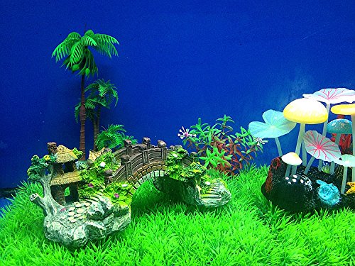 Your one-stop shop for diverse, top-quality aquarium supplies and accessories