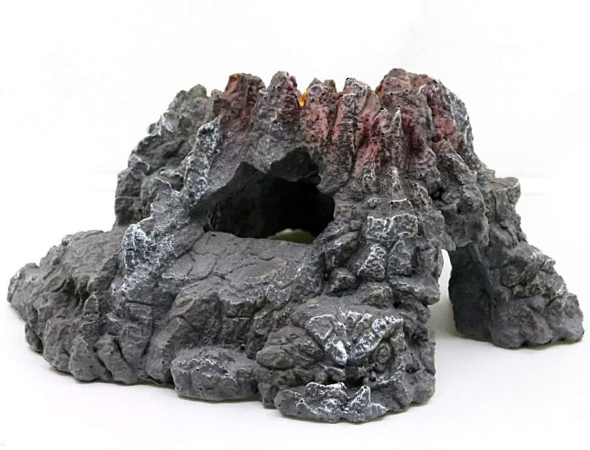 Your one-stop shop for diverse, top-quality aquarium supplies and accessories