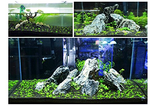 Your one-stop shop for diverse, top-quality aquarium supplies and accessories