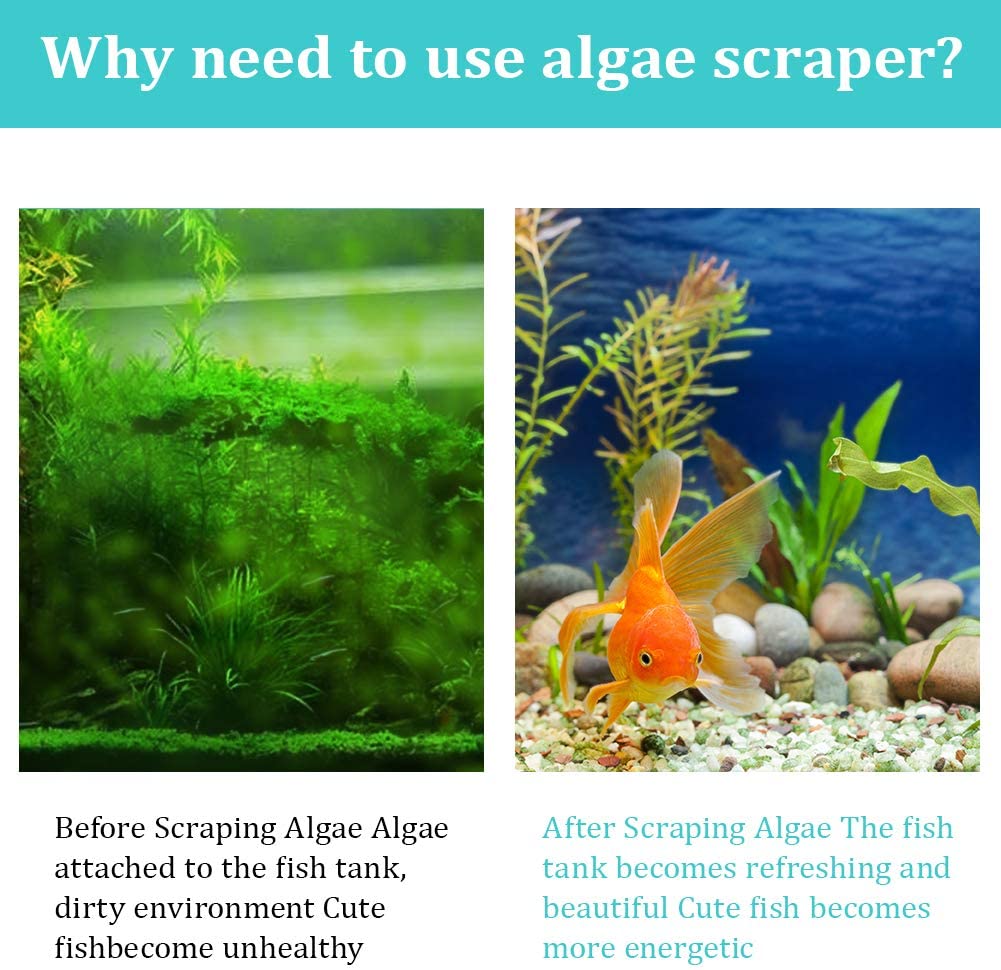 Your one-stop shop for diverse, top-quality aquarium supplies and accessories