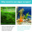 Your one-stop shop for diverse, top-quality aquarium supplies and accessories