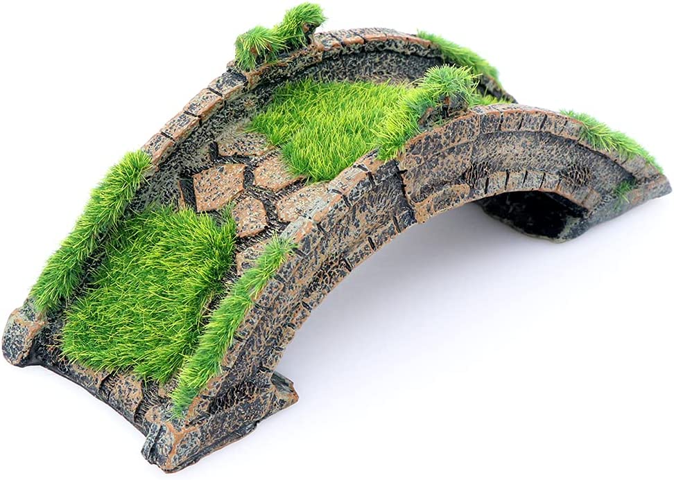 Your one-stop shop for diverse, top-quality aquarium supplies and accessories