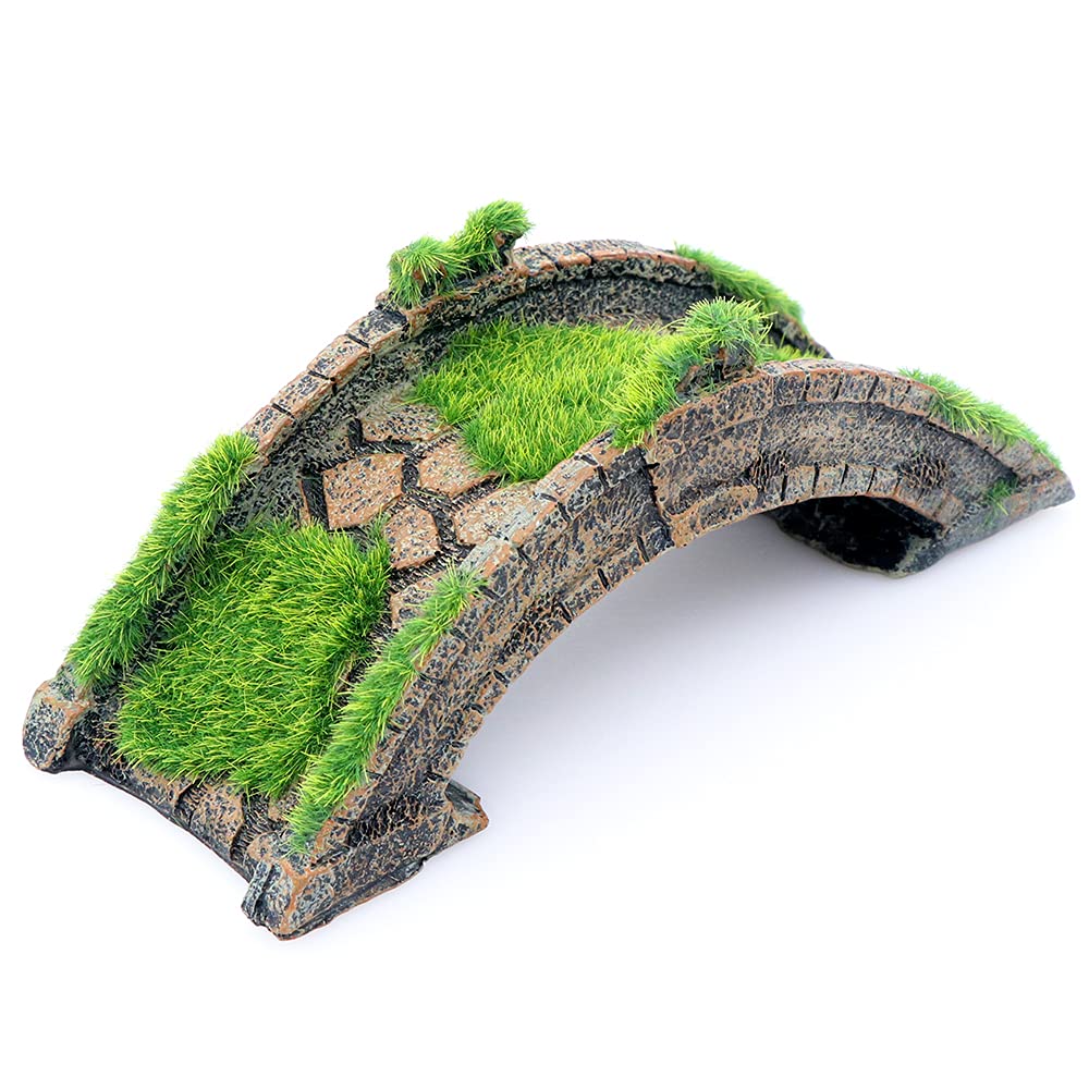 Your one-stop shop for diverse, top-quality aquarium supplies and accessories