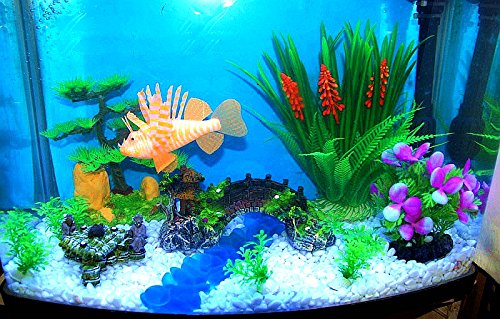 Your one-stop shop for diverse, top-quality aquarium supplies and accessories