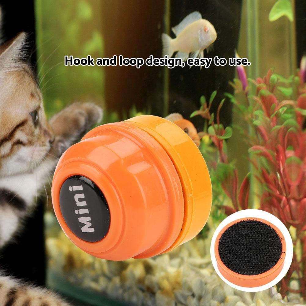 Your one-stop shop for diverse, top-quality aquarium supplies and accessories
