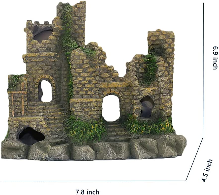 Your one-stop shop for diverse, top-quality aquarium supplies and accessories