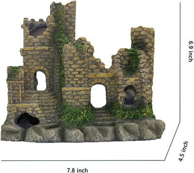 Your one-stop shop for diverse, top-quality aquarium supplies and accessories