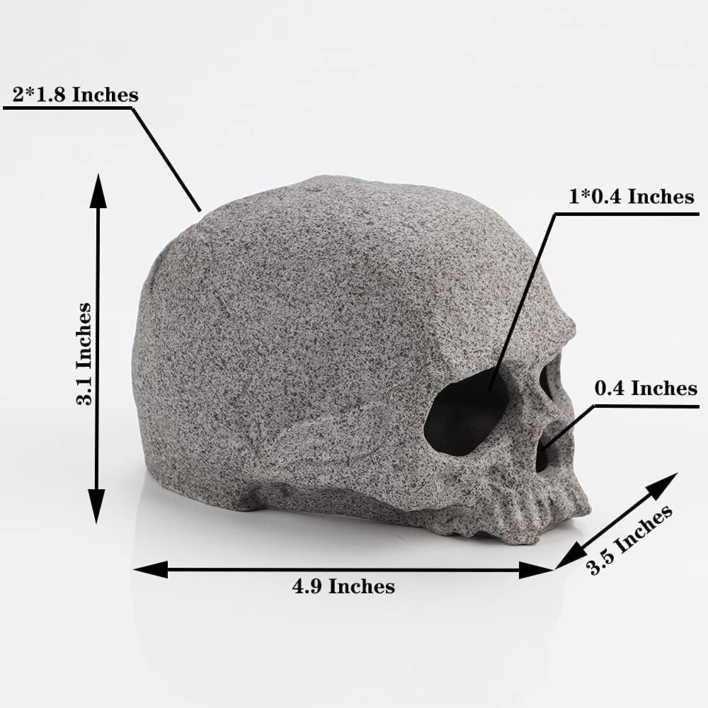 Your one-stop shop for diverse, top-quality aquarium supplies and accessories