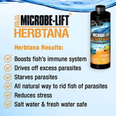 Your one-stop shop for diverse, top-quality aquarium supplies and accessories