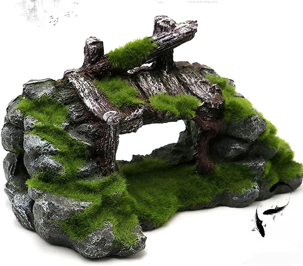 Your one-stop shop for diverse, top-quality aquarium supplies and accessories