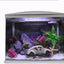Your one-stop shop for diverse, top-quality aquarium supplies and accessories