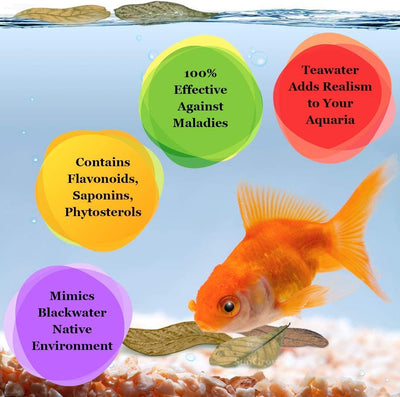 Your one-stop shop for diverse, top-quality aquarium supplies and accessories