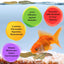 Your one-stop shop for diverse, top-quality aquarium supplies and accessories