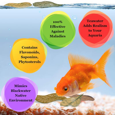 Your one-stop shop for diverse, top-quality aquarium supplies and accessories