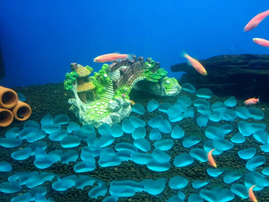 Your one-stop shop for diverse, top-quality aquarium supplies and accessories