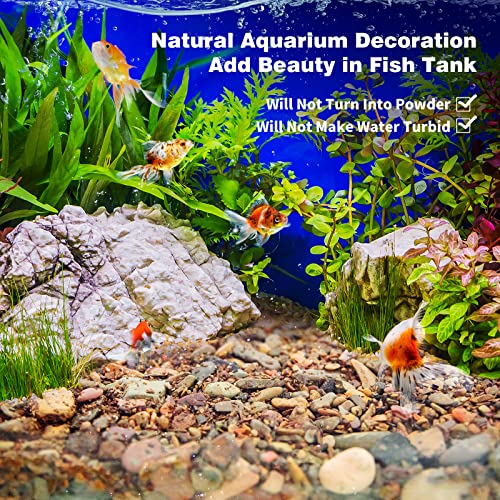 Your one-stop shop for diverse, top-quality aquarium supplies and accessories