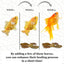 Your one-stop shop for diverse, top-quality aquarium supplies and accessories