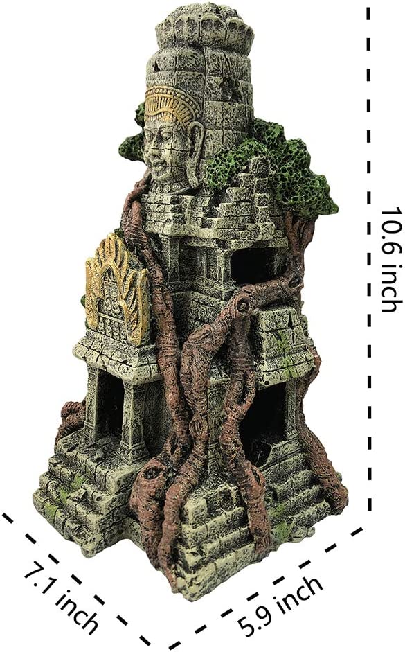 Your one-stop shop for diverse, top-quality aquarium supplies and accessories