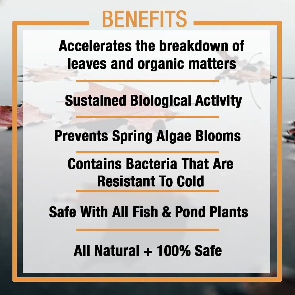 Your one-stop shop for diverse, top-quality aquarium supplies and accessories