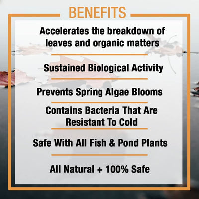 Your one-stop shop for diverse, top-quality aquarium supplies and accessories