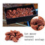 Your one-stop shop for diverse, top-quality aquarium supplies and accessories
