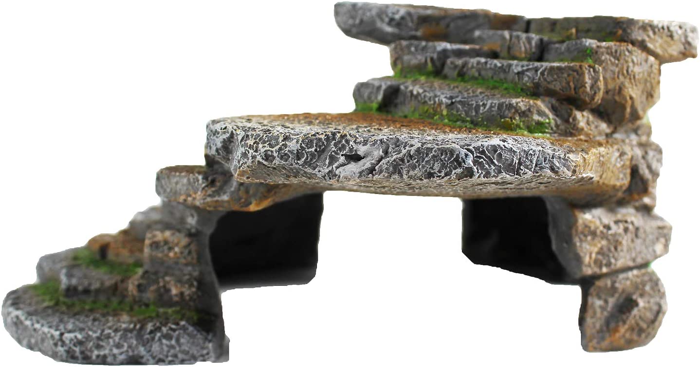 Your one-stop shop for diverse, top-quality aquarium supplies and accessories