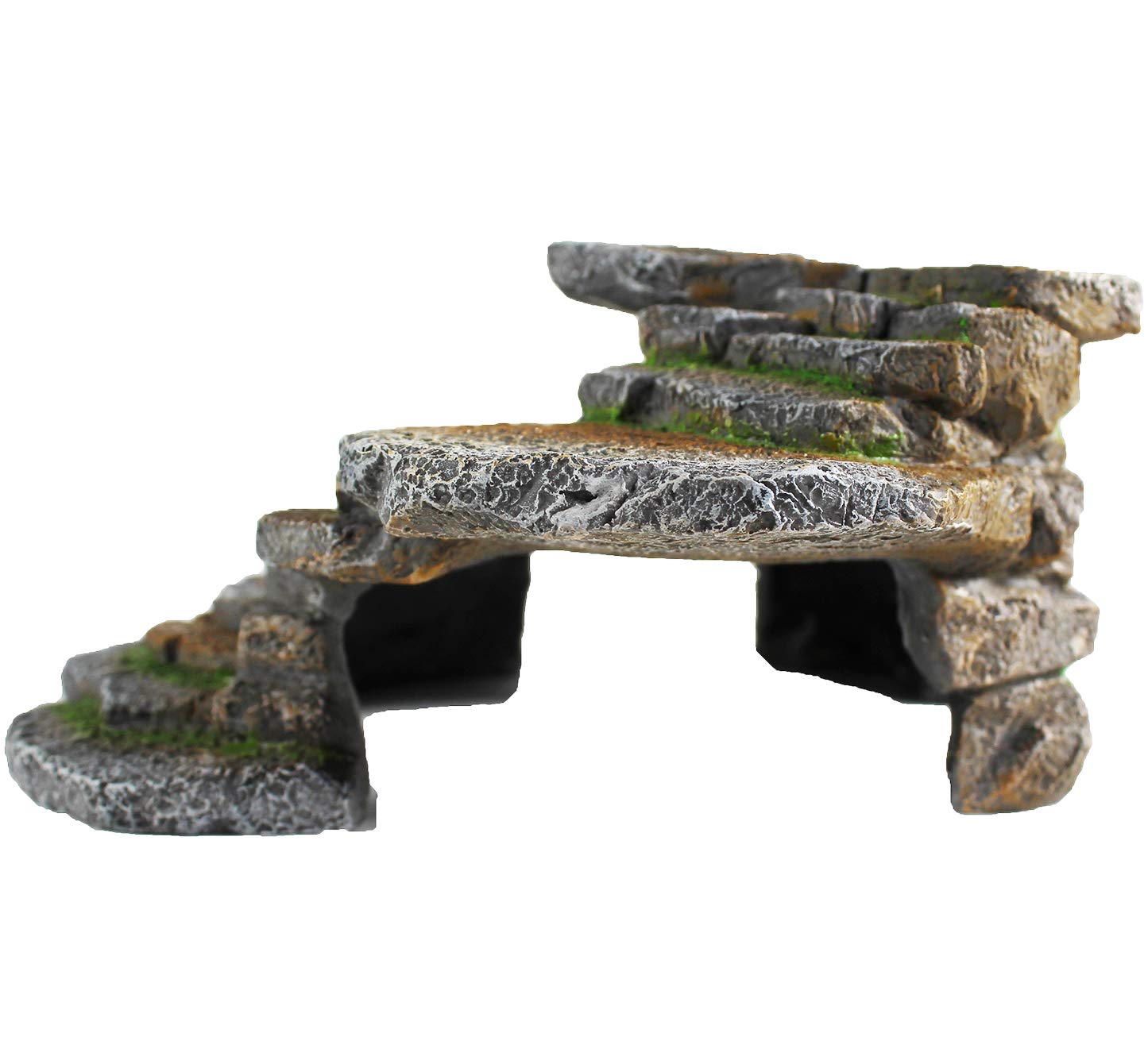 Your one-stop shop for diverse, top-quality aquarium supplies and accessories