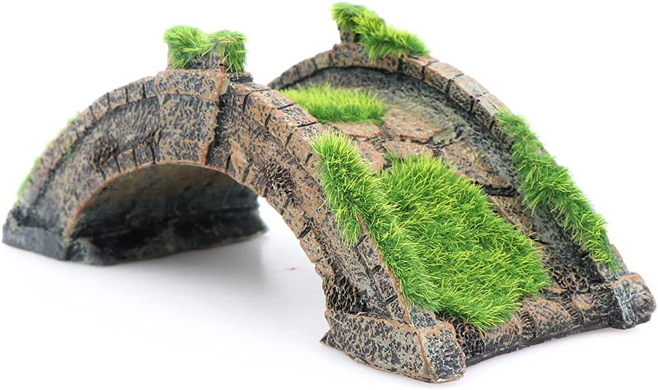 Your one-stop shop for diverse, top-quality aquarium supplies and accessories