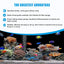 Your one-stop shop for diverse, top-quality aquarium supplies and accessories