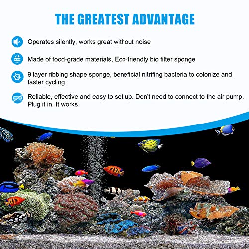 Your one-stop shop for diverse, top-quality aquarium supplies and accessories