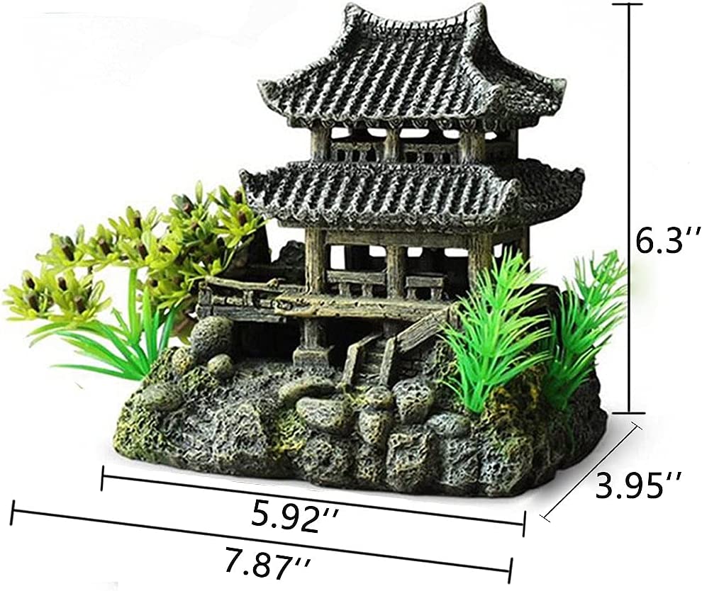 Your one-stop shop for diverse, top-quality aquarium supplies and accessories