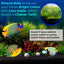 Your one-stop shop for diverse, top-quality aquarium supplies and accessories