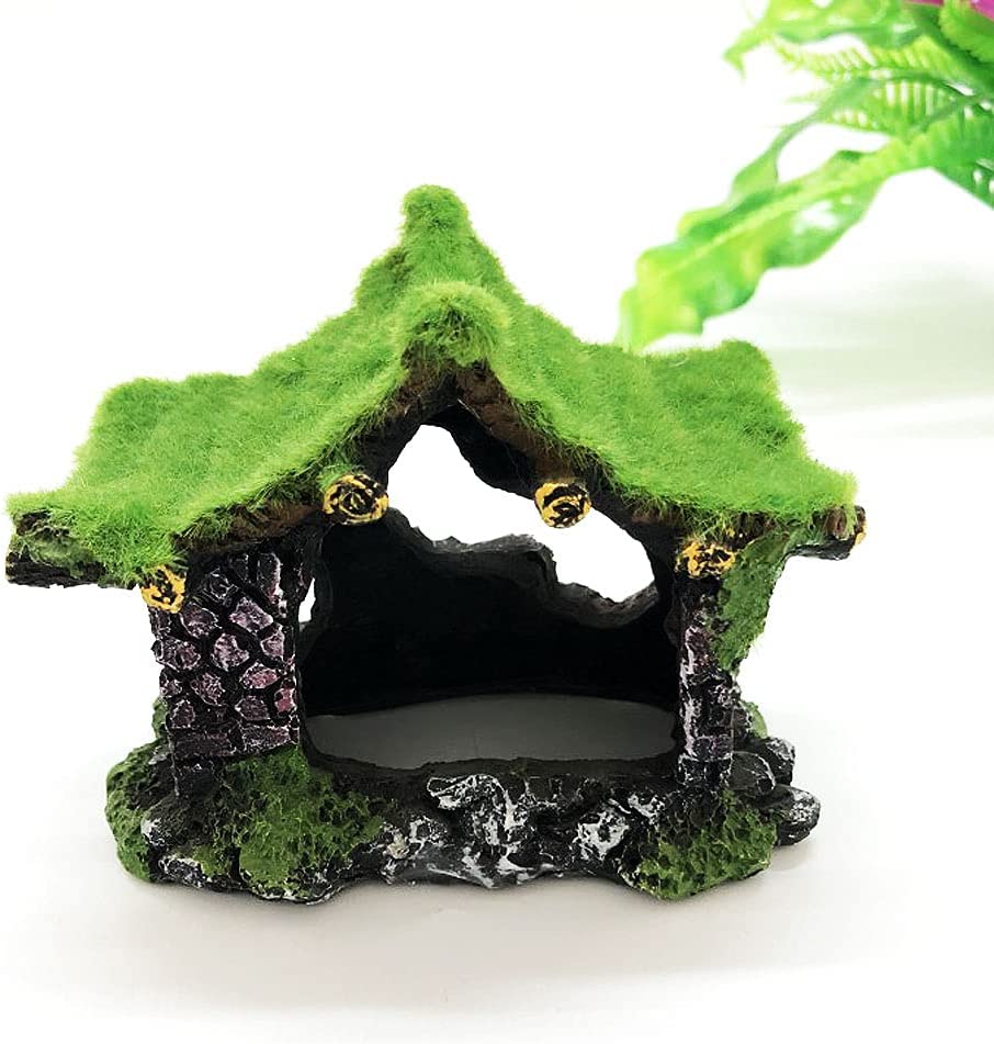 Your one-stop shop for diverse, top-quality aquarium supplies and accessories