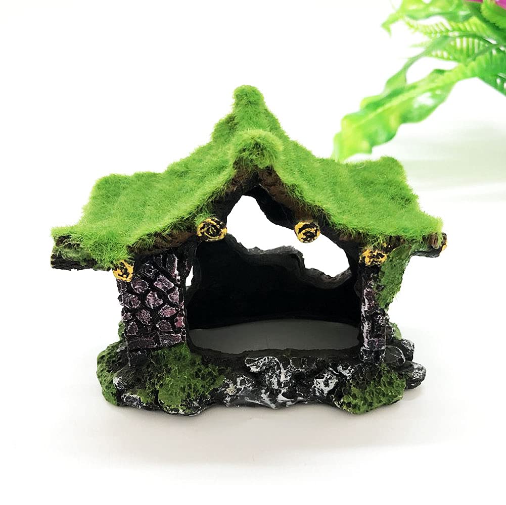 Your one-stop shop for diverse, top-quality aquarium supplies and accessories