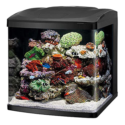 Your one-stop shop for diverse, top-quality aquarium supplies and accessories