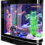 Your one-stop shop for diverse, top-quality aquarium supplies and accessories