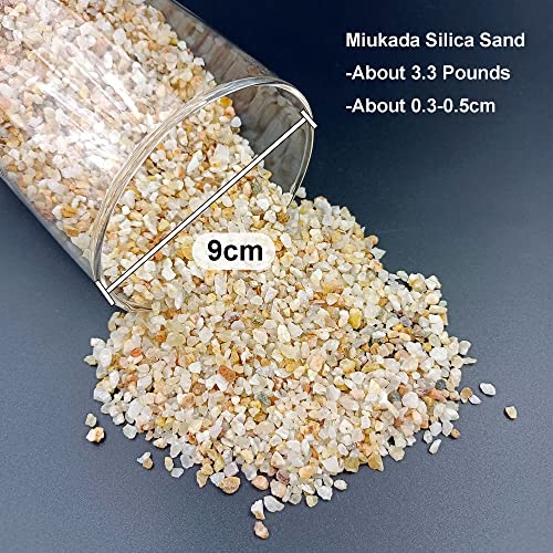 Your one-stop shop for diverse, top-quality aquarium supplies and accessories