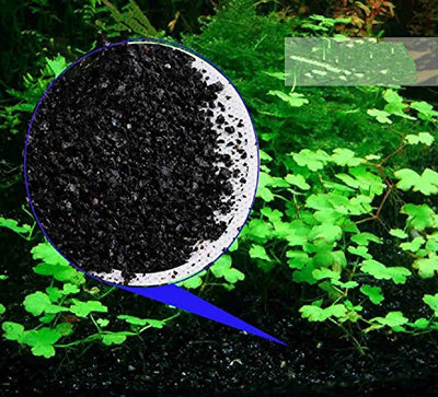 Your one-stop shop for diverse, top-quality aquarium supplies and accessories