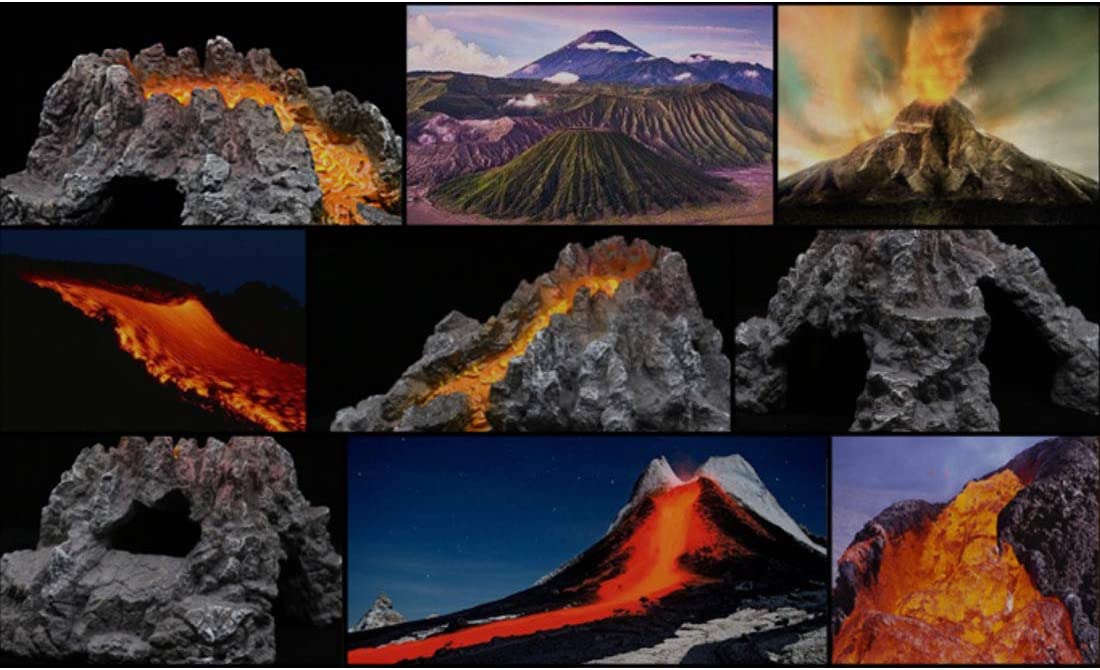 Your one-stop shop for diverse, top-quality aquarium supplies and accessories