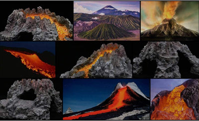 Your one-stop shop for diverse, top-quality aquarium supplies and accessories