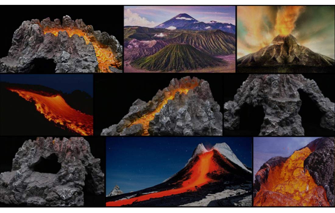 Your one-stop shop for diverse, top-quality aquarium supplies and accessories