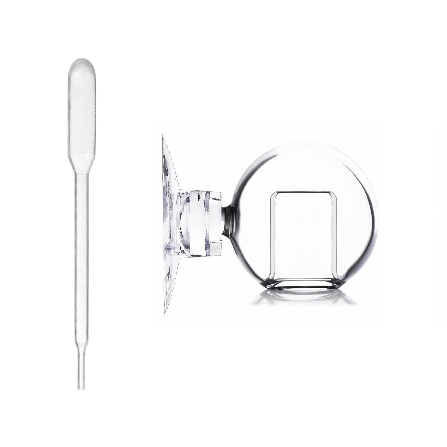 Your one-stop shop for diverse, top-quality aquarium supplies and accessories