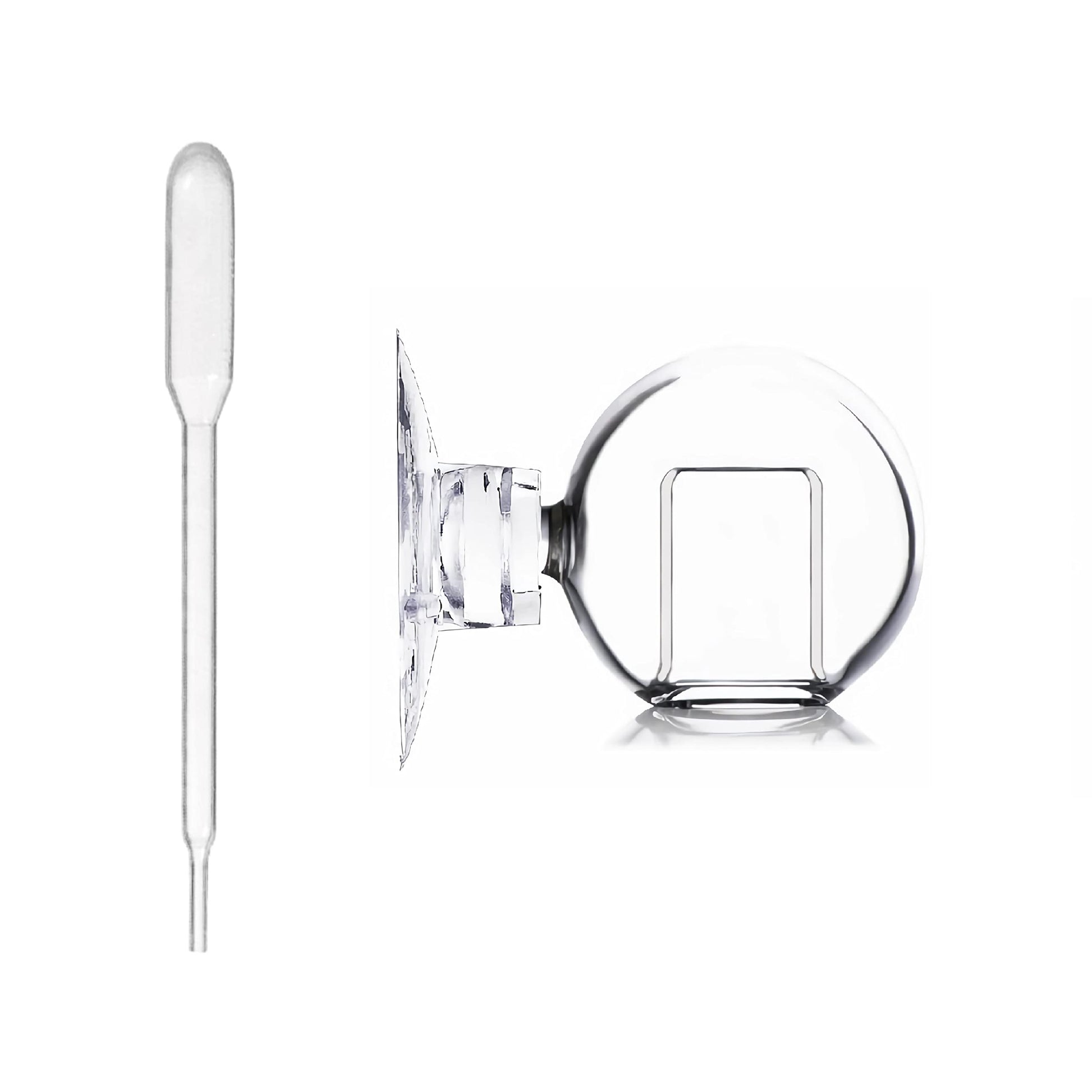 Your one-stop shop for diverse, top-quality aquarium supplies and accessories