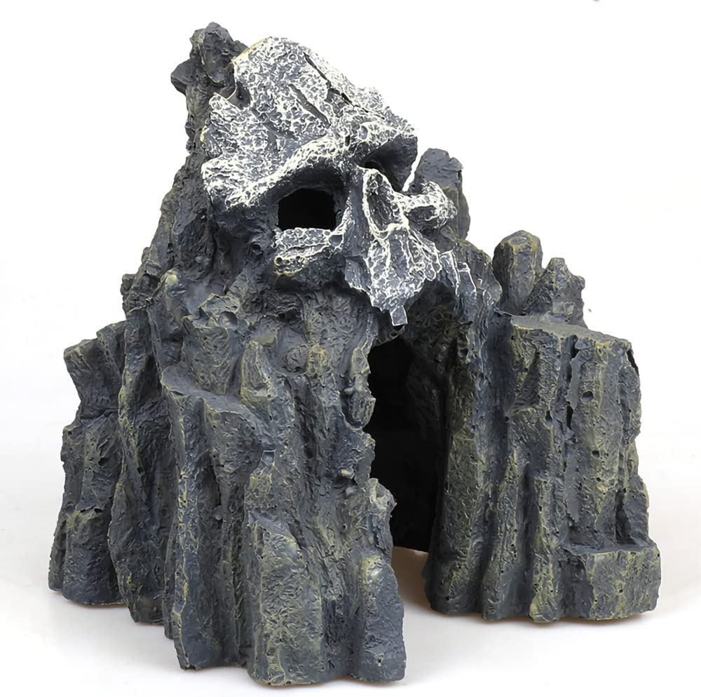 Your one-stop shop for diverse, top-quality aquarium supplies and accessories