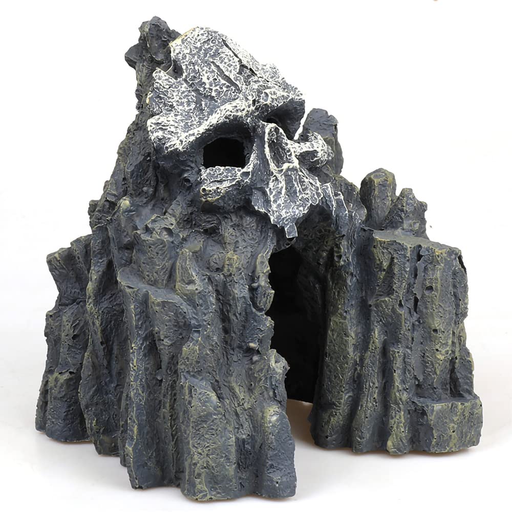 Your one-stop shop for diverse, top-quality aquarium supplies and accessories