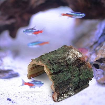 Your one-stop shop for diverse, top-quality aquarium supplies and accessories