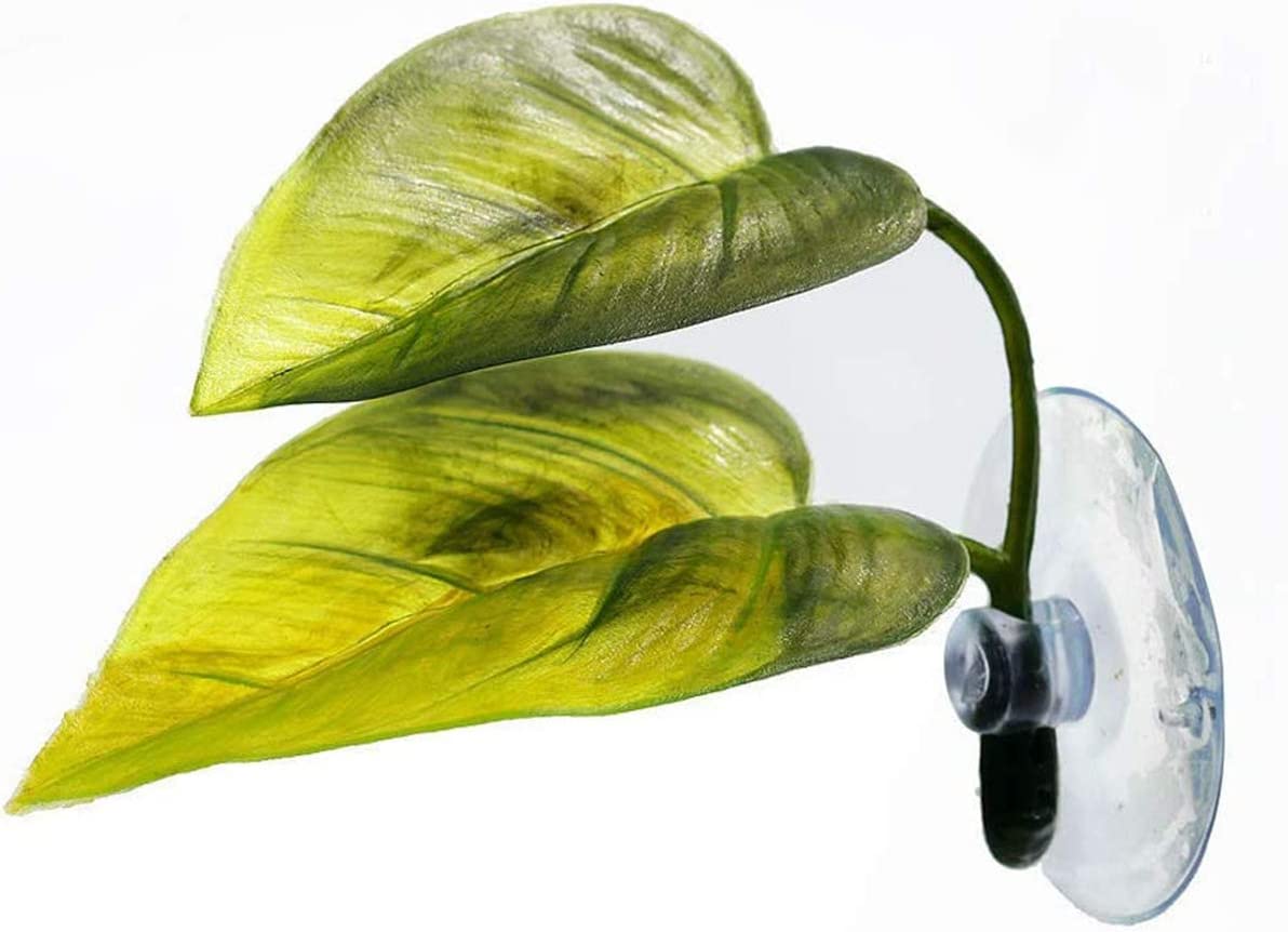 Your one-stop shop for diverse, top-quality aquarium supplies and accessories