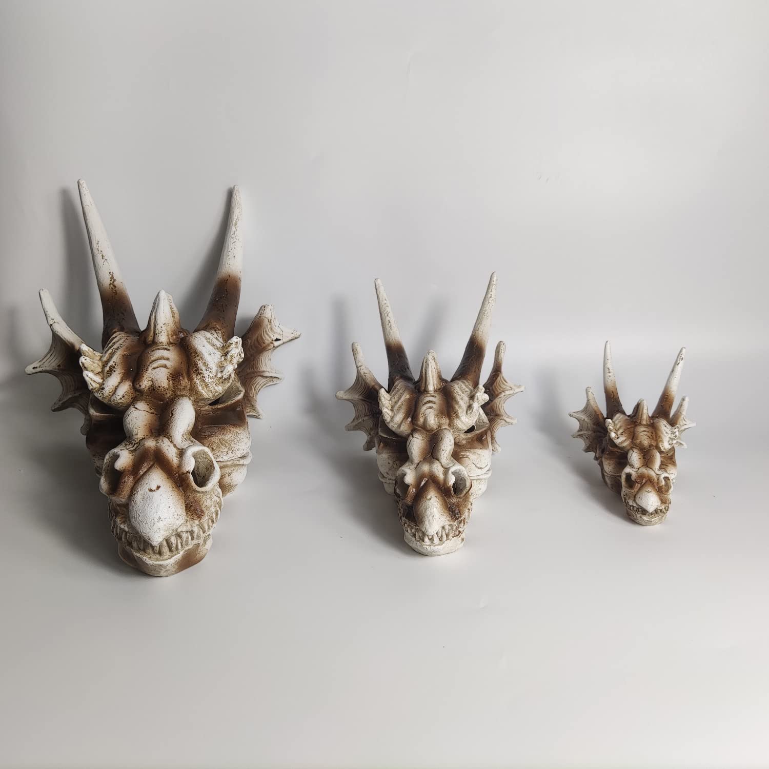 Your one-stop shop for diverse, top-quality aquarium supplies and accessories